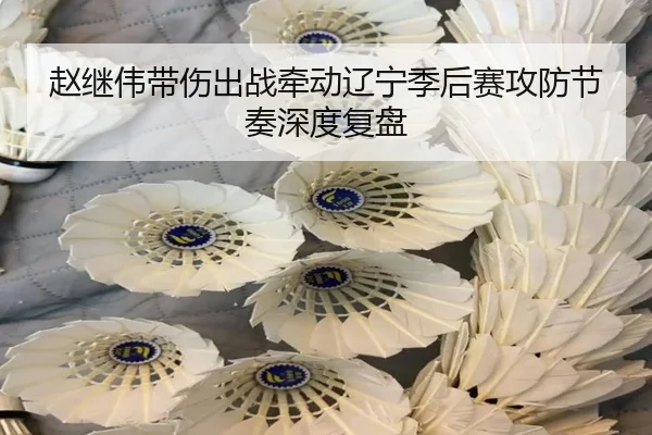 赵继伟带伤出战牵动辽宁季后赛攻防节奏深度复盘 - ODAPP