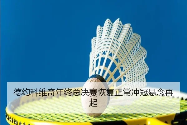 德约科维奇年终总决赛恢复正常冲冠悬念再起（ODAPP）
